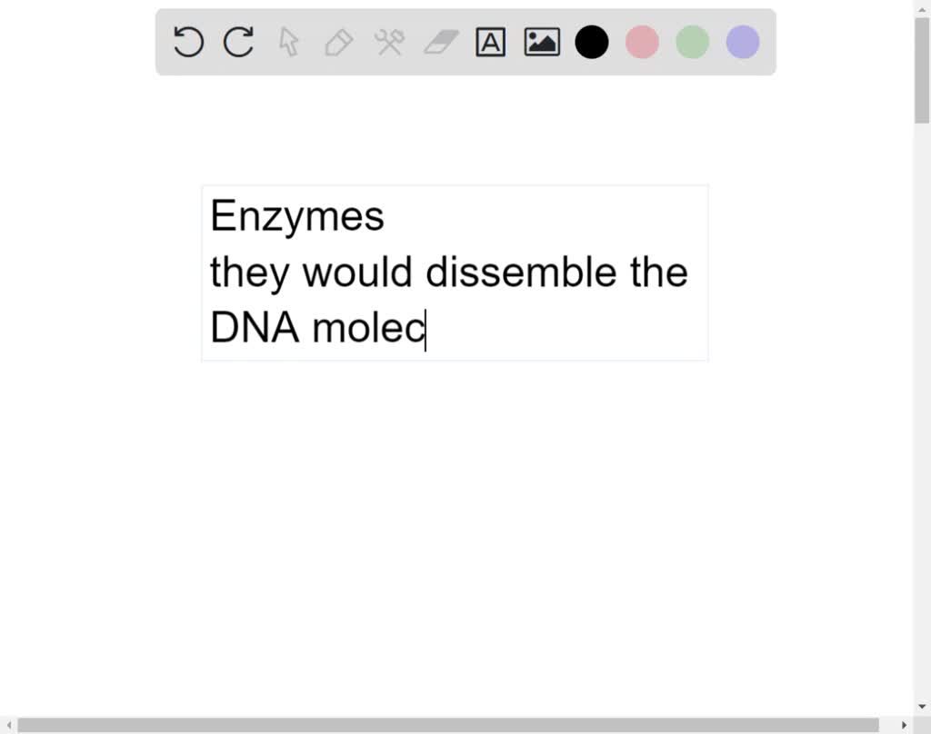 SOLVED Enzymes that break down dna catalyze the hydrolysis of the