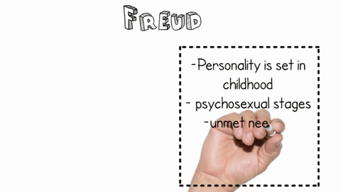 compare-and-contrast-skinners-perspective-on-personality-development-to-freuds-29405