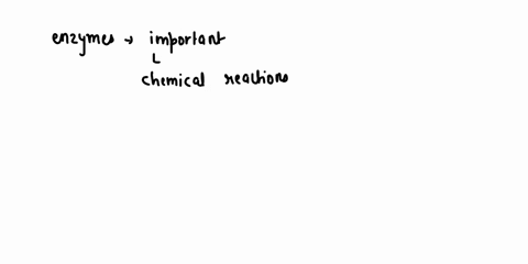 why-are-enzymes-important-for-chemical-reactions-67197