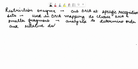explain-the-concept-of-restriction-enzymes-and-how-they-are-used-for-dna-mapping-discuss-the-concept-of-pcr-as-it-applies-to-this-process-please-discuss-in-details-59998