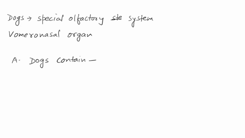 what-statements-explains-dog-keen-sense-of-smell-dogs-contain-an-additional-olfactory-chamber-dogs-sniff-and-perform-the-flehmen-response-to-capture-more-body-scents-colfactory-scents-are-se-86153