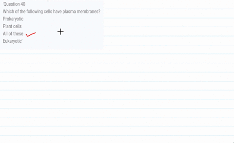 question-40-which-of-the-following-cells-have-plasma-membranes-prokaryotic-plant-cells-all-of-these-eukaryotic-53591