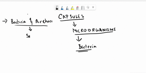 which-of-the-following-are-true-of-capsules-select-all-that-apply-capsules-occur-in-both-bacteria-and-archaea-capsules-are-considered-part-of-the-cell-wall-capsules-are-involved-in-the-attac-79498