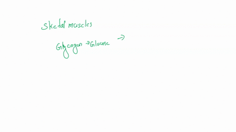 skeletal-muscle-cells-use-glucose-from-glycogen-breakdown-to-power-local-muscle-contraction-without-releasing-the-glucose-into-the-blood-stream-why-select-one-skeletal-muscle-cells-only-cont-60555