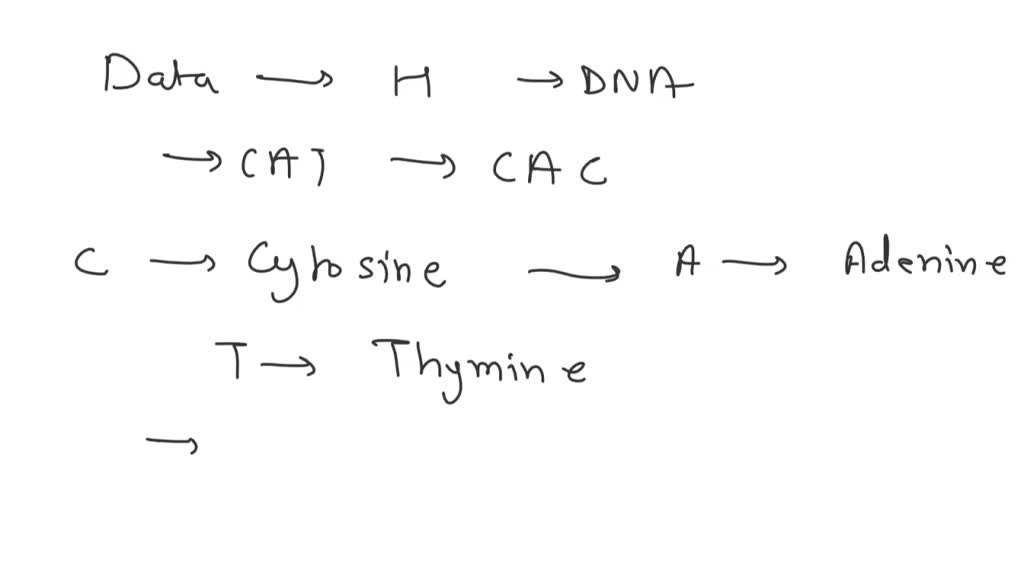SOLVED which codon is the code for the amino acid histidine?