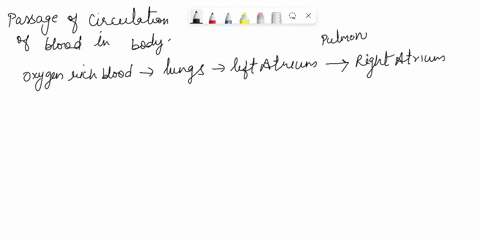the-oxygen-rich-blood-leaves-the-lungs-it-travels-via-the-pulmonary-veins-to-the-lleft-atrium-it-is-pumped-by-the-heart-to-the-ight-alrium-then-travels-to-the-mesenteric-artery-and-the-diges-70952