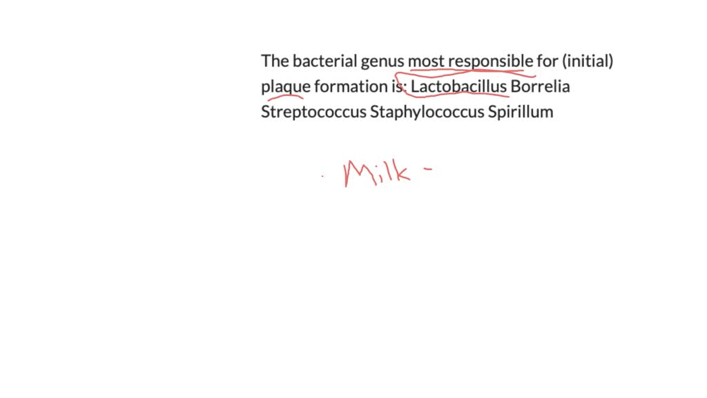SOLVED The bacterial genus most responsible for (initial) plaque