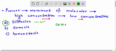 which-process-describes-the-movement-of-molecules-from-areas-of-high-concentration-to-areas-of-low-concentration-diffusion-osmosis-homeostasis-solution-50933