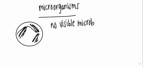 1-laura-uses-a-cotton-swab-to-collect-microorganisms-from-a-hand-rail-and-streaks-a-plate-on-the-fourth-day-of-incubation-she-does-not-observe-visible-microbial-growth-given-that-microorgani-07173