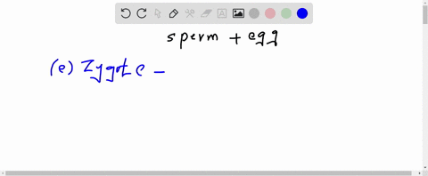 once-a-sperm-penetrates-the-cell-wall-of-an-egg-and-fertilizes-it-this-structure-is-known-as-what-a-30014