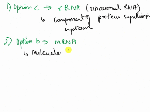 10the-type-of-rna-that-is-an-important-structural-component-of-the-protein-synthesizing-system-of-the-cell-is-mrna-pre-mrna-rrna-all-of-the-above-11the-genetic-code-is-conventionally-written-04993