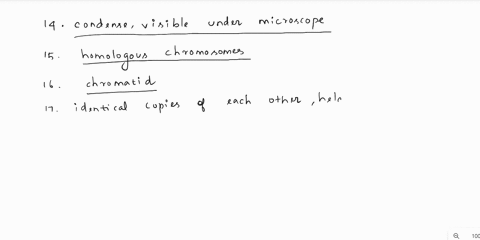 during-prophas-the-chromosome3-und-becone-chromosomes-that-are-the-same-size-and-have-the-same-genes-are-called_-each-half-of-a-replicated-chromosome-called-sister-chromatids-of-chromosome-a-24009