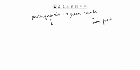 what-are-the-raw-materials-required-for-photosynthesis-and-from-where-are-they-obtained-10918