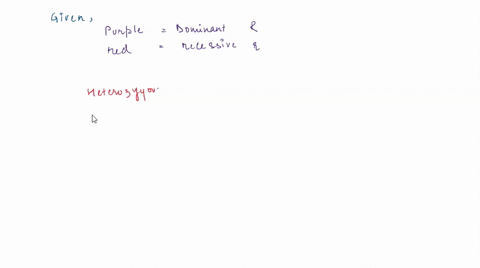 the-purple-flower-is-dominant-to-the-red-flower-if-a-heterozygous-purple-flower-plant-is-crossed-with-a-homozygous-recessive-red-flower-what-are-the-genotypic-ratio-and-phenotypic-ratio-of-t-95332