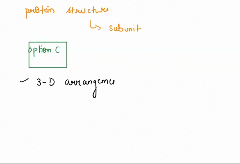 which-level-of-protein-structure-deals-with-interactions-of-subunits-a-primary-b-secondary-c-tertiary-d-quaternary-62988