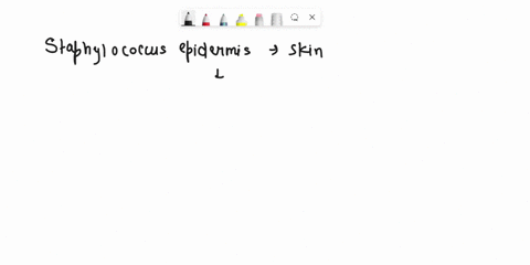questions-1-3-match-the-following-example-with-the-proper-term-staphylococcus-epidermidis-0n-our-skin-mutualism-tuberculosis-bacteria-in-the-iuman-lung-commensalisin-e-coli-in-the-human-colo-72588