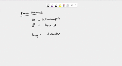 write-the-floral-formula-of-a-actinomorphic-bisexual-hypogynous-flower-withfive-united-sepals-five-free-petals-five-free-stamens-and-two-united-carpleswith-superior-ovary-and-axile-placentat-91873
