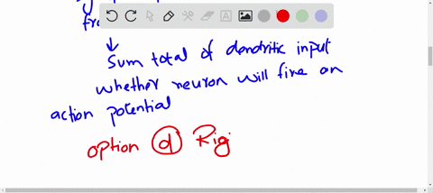 functionally-which-cellular-location-is-the-neurons-decision-making-site-as-to-whether-or-not-an-action-potential-will-be-initiated-select-one-the-axon-nucleus-b-the-axon-excitatory-membrane-14199