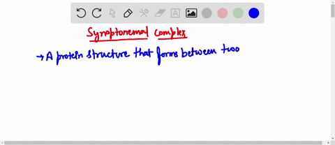 the-synaptonemal-complex-__________-multiple-choice-aallows-cell-wall-formation-during-cytokinesis-bseparates-sister-chromatids-during-anaphase-cprovides-union-between-homologous-chromosomes-24775