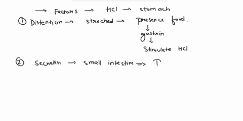 q123-what-stimulates-the-secretion-of-hydrochloric-acidhc-in-the-stomachcheck-al-that-appy-the-distention-of-the-stomach-the-taste-of-food-secrotin-the-smell-of-food-2-the-stimulation-of-the-94727