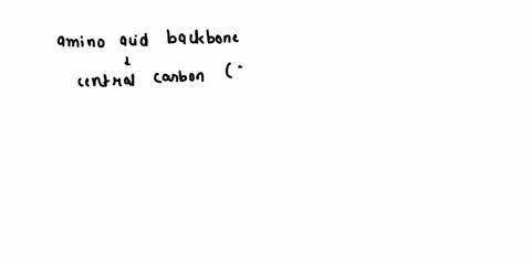 ho-cb-1-using-highlighter-highlight-the-entire-amino-acld-backbone-above-that-everything-expect-the-broup-and-the-hydrogen-on-the-central-carbon-now-l1drawand-label-polypeptide-arrow-on-the-17876