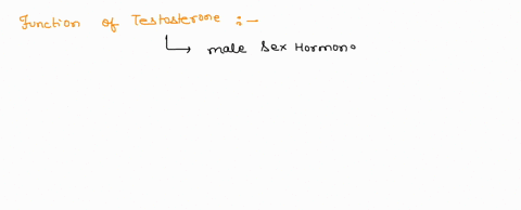 the-hormone-testosterone-ahelps-develop-trust-in-others-bstimulates-cuddling-between-species-members-cproduces-an-urge-to-nurse-newborn-offspring-in-new-mothers-dadds-muscle-weight-and-incre-57766