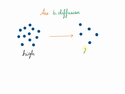 oxygen-and-carbon-dioxide-are-exchanged-in-the-lungs-and-through-all-cell-membranes-by-a-active-tran-41621