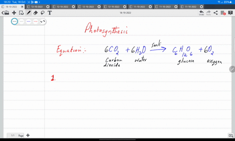 match-each-function-in-photosynthesis-with-the-appropriate-component-not-all-answers-have-to-be-used-1-original-source-of-energy-in-photosynthesis-2-carbon-source-used-in-photosynthesis-3-su-90564