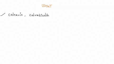 how-does-the-uggt-know-when-the-protein-has-gone-through-the-folding-and-refolding-enough-times-and-it-should-be-sent-to-be-degraded-63774