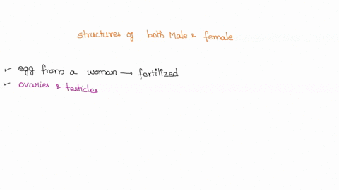 list-in-order-the-structures-of-both-the-male-and-female-reproductive-systems-that-a-sperm-cell-would-travel-through-from-where-it-is-produced-t0-where-fertilization-normally-occurs_-list-an-96796