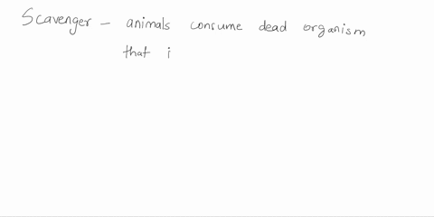 which-statement-describes-an-example-of-a-scavenger-and-its-diet-a-vultures-eat-fresh-dead-animals-b-sharks-eat-smaller-fish-seals-and-sea-lions-c-pandas-eat-bamboo-and-sugarcane-plants-d-bl-13118