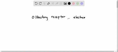 which-of-the-following-sensory-receptors-is-incorrectly-paired-with-its-category-a-hair-cell-mecha-2-73609