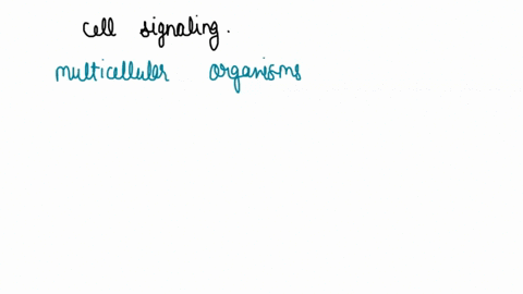 what-are-the-four-essential-elements-of-cell-signaling-36372