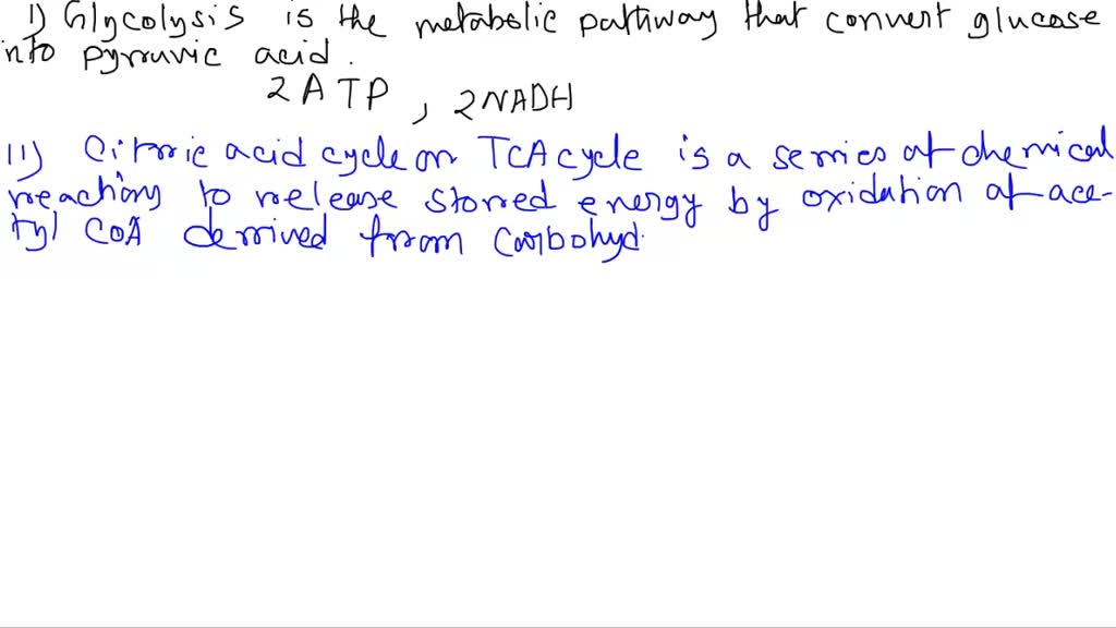 SOLVED List the high energy molecules (electron carriers and ATP) that