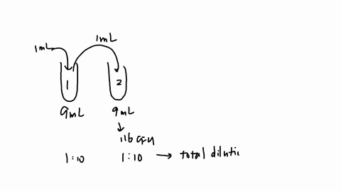 you-inoculate-some-lb-broth-in-a-flask-with-an-unidentified-bacterial-species-because-you-want-to-see-how-fast-it-grows-after-24-hours-you-take-a-1-ml-sample-and-perform-110-dilutions-the-di-60443