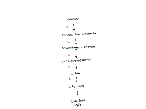 chapter-9-glucose-where-in-the-image-does-the-glucose-split-into-2-molecules-choose-from-a-bcde-2-atp-2-adp-a-frustose-1-6-bisphosphate-b-2-glyceraldehyde-3-phosphate-20-2-nad-2-nadh-1-3-bis-18436