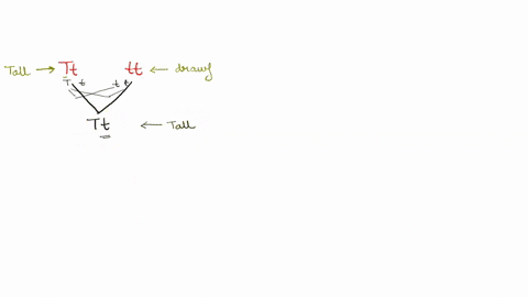 what-is-the-predicted-phenotypic-ratio-in-a-monohybrid-cross-with-a-homozygous-dominant-parent-and-a-homozygous-recessive-parent-point-121-1122-31-22-40-32322