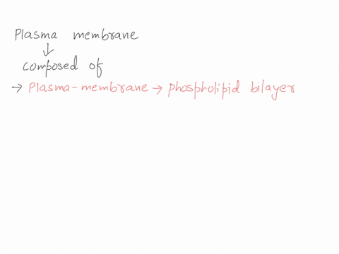 the-plasma-membrane-of-the-cell-is-made-mostly-of-steroids-proteins-phospholipids-triglyceridesfats-carbohydrates-42672
