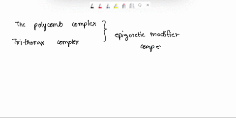 the-polycomb-complex-and-trithorax-complex-are-examples-of-which-of-the-following-genetic-modification-complexes-which-methylate-dna-epigenetic-modifer-complexes-which-methylate-histones-nuc-28372
