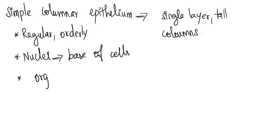 SOLVED: Identify the type of epithelium in Figure 1. Simple columnar ...