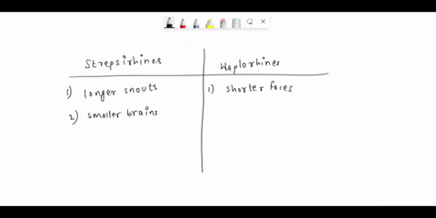 10-the-suborder-strepsirhini-and-the-suborder-haplorhini-have-distinctive-features-that-distinguish-them-from-each-other-please-provide-4-of-these-features-in-your-description-provide-what-t-88107