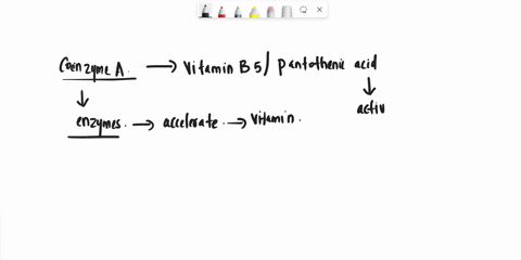 which-of-the-following-are-functions-of-coenzyme-a-it-carries-acyl-groups-with-a-high-transfer-potential-it-makes-the-beta-carbon-on-an-acyl-group-very-nucleophilic-it-makes-it-easier-to-cle-43077