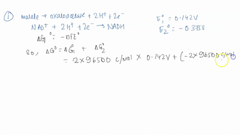 malate-nadt-oxaloacetate-nadh-ht-use-the-following-reduction-half-reactions-to-calculate-your-ans-half-reaction-ae-oxaloacetate-2h-2e-malate2-0193-nad-ht-2e-5-nadh-2-0305-77182