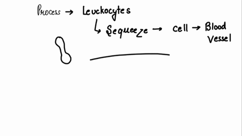 the-process-by-which-leukocytes-squeeze-through-adjacent-cells-in-a-blood-vessel-wall-is-called-a-leukocytosis-b-emigration-c-cytoplasmic-extending-d-positive-chemotaxis-42716