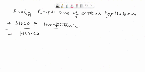 if-you-had-damage-to-your-poaah-what-would-happen-to-your-body-temperature-42124