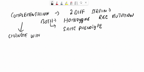 drag-the-labels-onto-the-diagram-to-identify-the-parts-of-the-skull-of-a-newborn-lateral-view-reset-help-mastoid-fontanelle-parietal-bone-sphenoidal-fontanelle-ossification-center-frontal-bo-12335