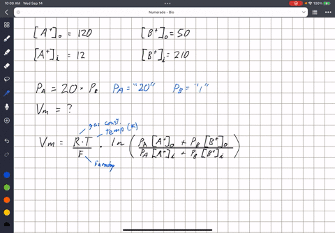 question-16-ion-a-and-ion-b-are-both-permeable-to-the-cell-membrane-and-exist-in-the-following-internal-and-external-concentrations-internal-concentration-mm-210-120-50-external-concentratio-46005