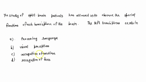 the-study-of-split-brain-patients-has-allowed-us-to-observe-the-special-functions-of-each-hemisphere-11856