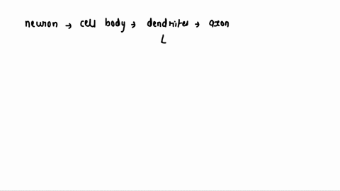 which-is-a-part-of-a-neuron-that-receives-messages-apex-70207