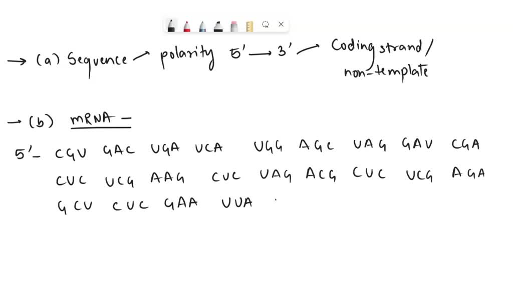 SOLVED: The diagram below shows a gene model of the protein coding ...